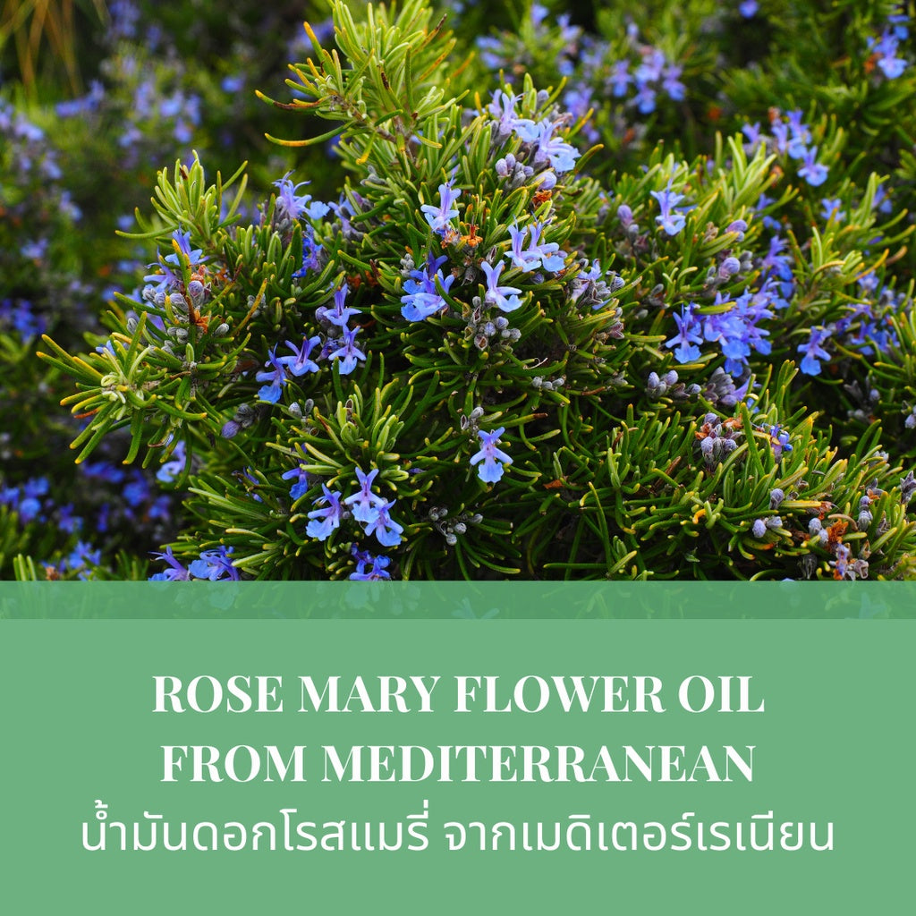 MIJEP™ Natural Rosemary Body & Hair Oil ( BUY 1 GET 1 FREE )