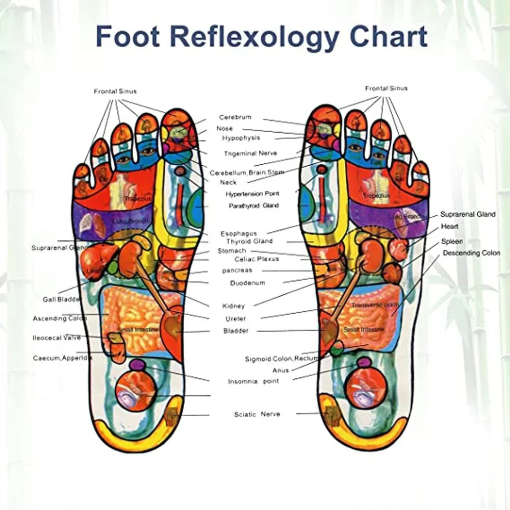 ALIVER Natural Detox Foot Pads ( BUY 1 GET 1 FREE )